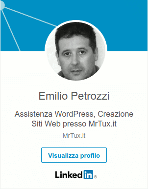 emilio petrozzi assistenza wordpress