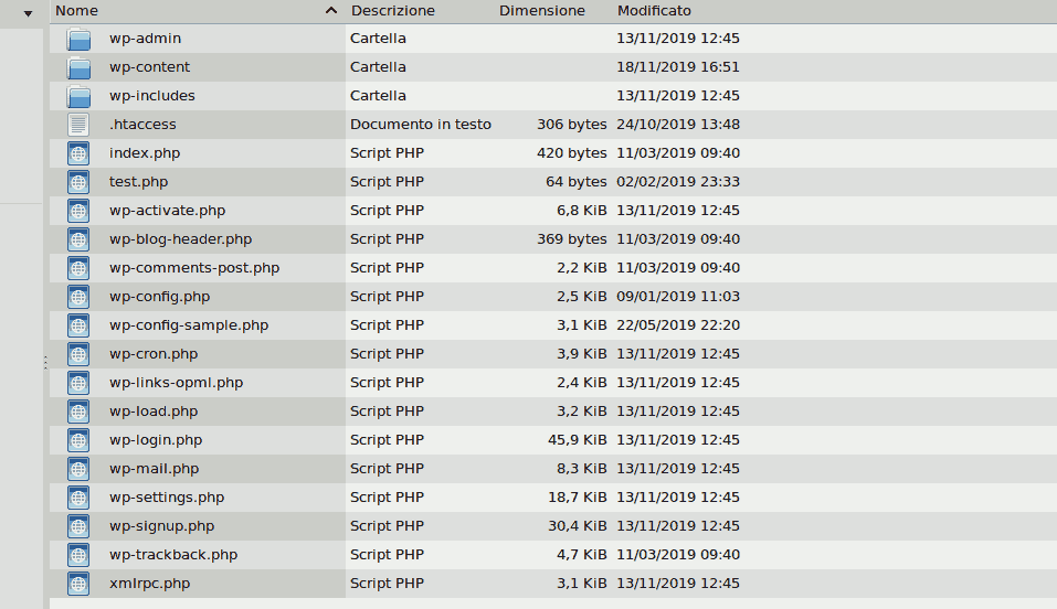 files per il backup in locale di wordpress